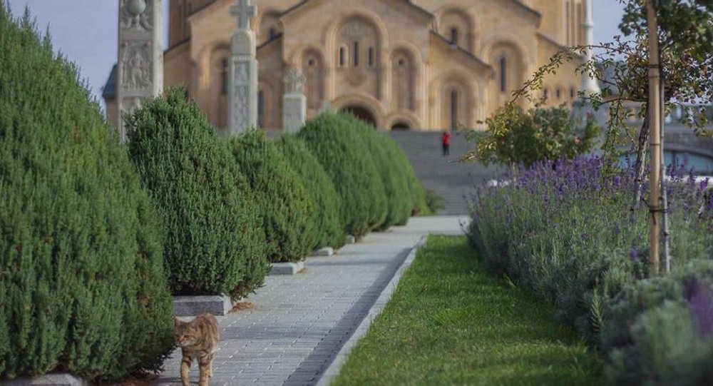 საქართველოს მართლმადიდებელი ეკლესია 2019 წლის 22 სექტემბერს იხსენიებს წმიდათა და მართალთა მშობელთა ღმრთისათა იოაკიმეს და ანნას