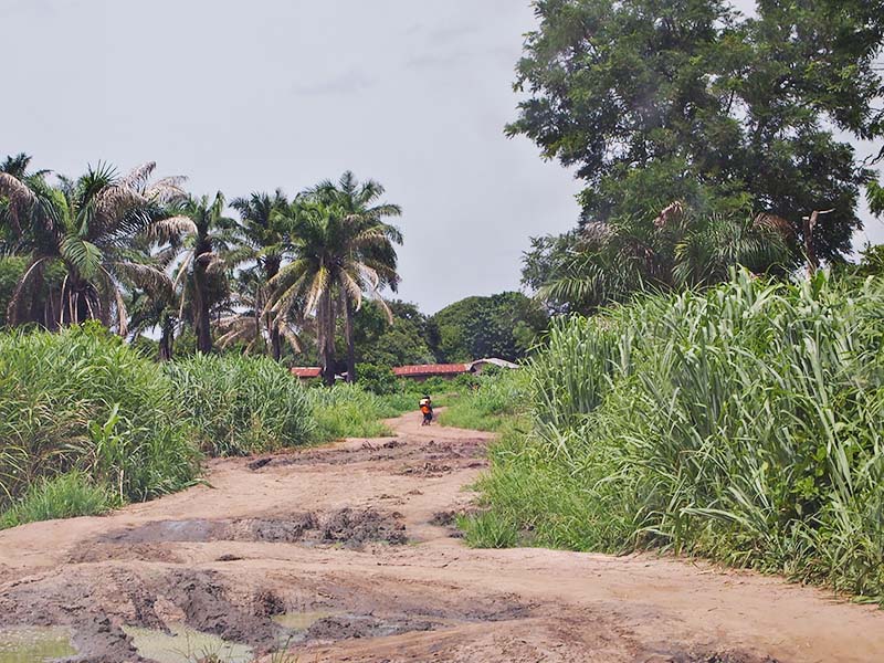 Boko Haram Affiliate Executes 11 on Christmas Day