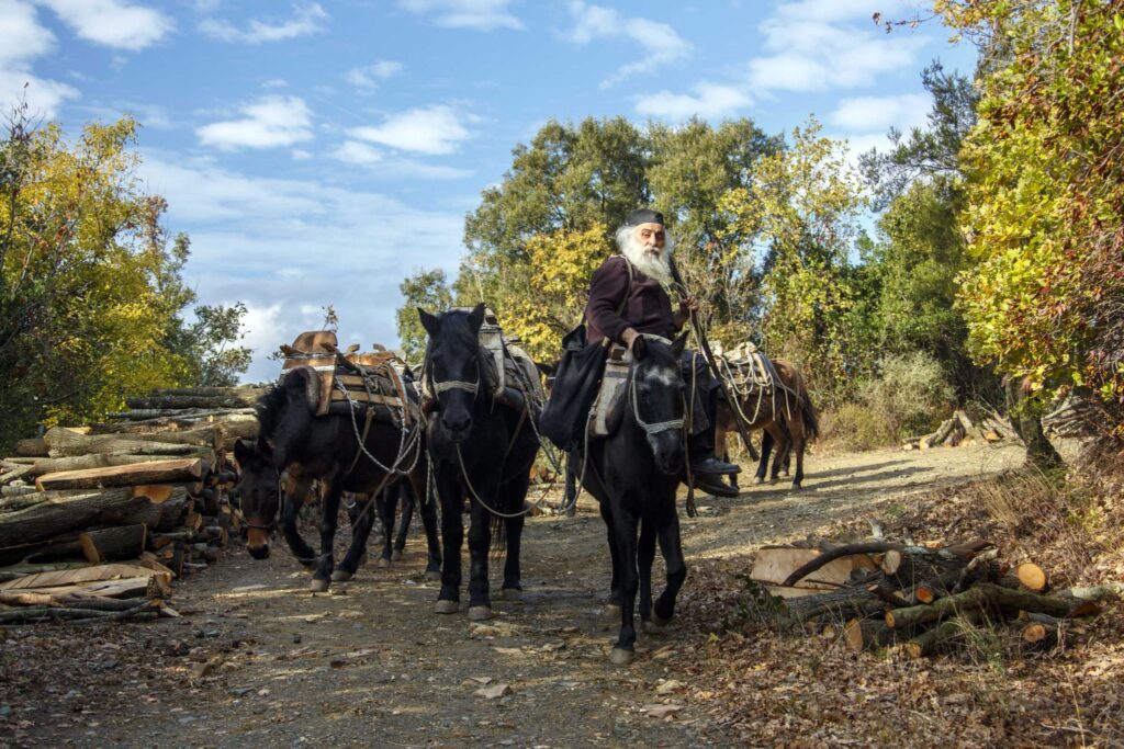 The woodcutter – A photo journal from the woods