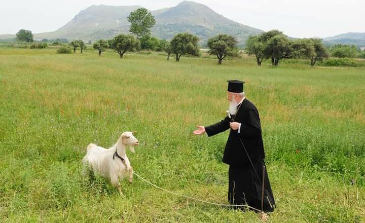 Ecumenical Patriarch’s message for Sept. 1: Respect for the environment is an act of doxology of God’s name