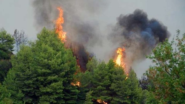 Greece: A wildfire broke out in northeastern Attica near the monastery of Pantokratoras