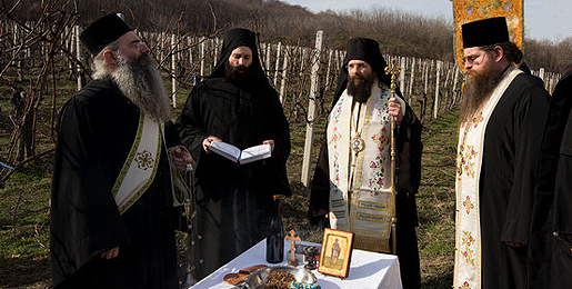The feast day of Saint Triphon in Bukovo Monastery
