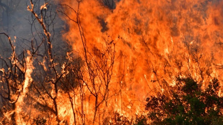 Φωτιά στη Γορτυνία: Παραμένει πάρα πολύ δύσκολη η κατάσταση