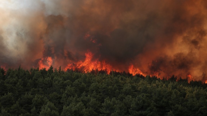 Μαίνεται η πυρκαγιά στη Β. Αττική – Εκκενώθηκε το κέντρο κράτησης στην Αμυγδαλέζα