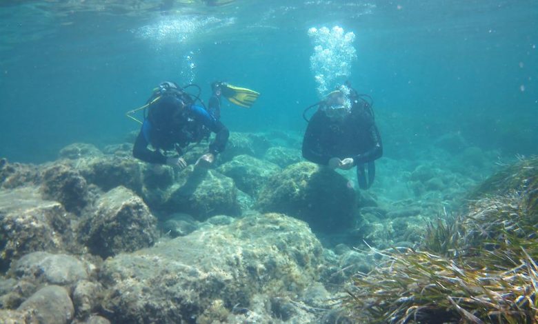 Κύπρος: Εγκαινιάστηκε το υποβρύχιο πάρκο στο Αρχαίο Λιμάνι της Αμαθούντας