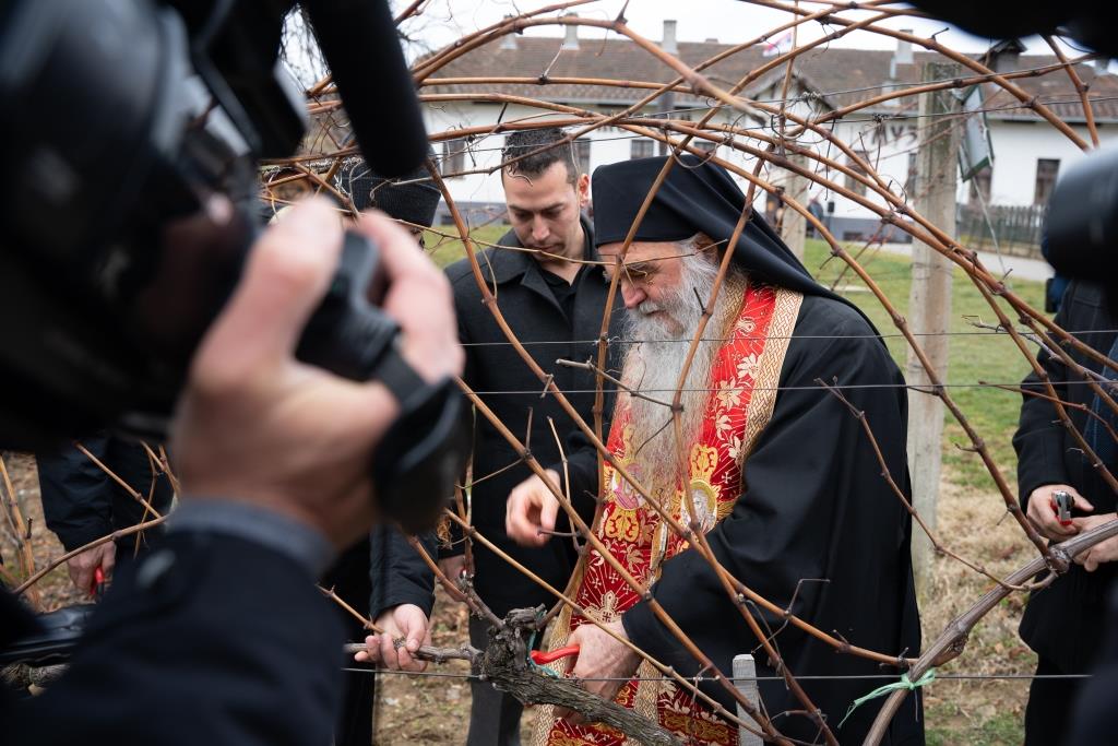 Слава виноградара у Александровцу