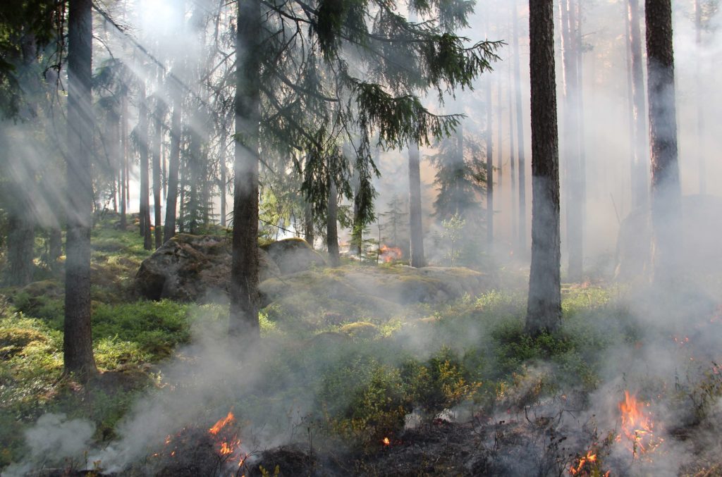 Πολύ υψηλός κίνδυνος πυρκαγιάς σε δύο περιφέρειες το Σάββατο 8 Ιουλίου