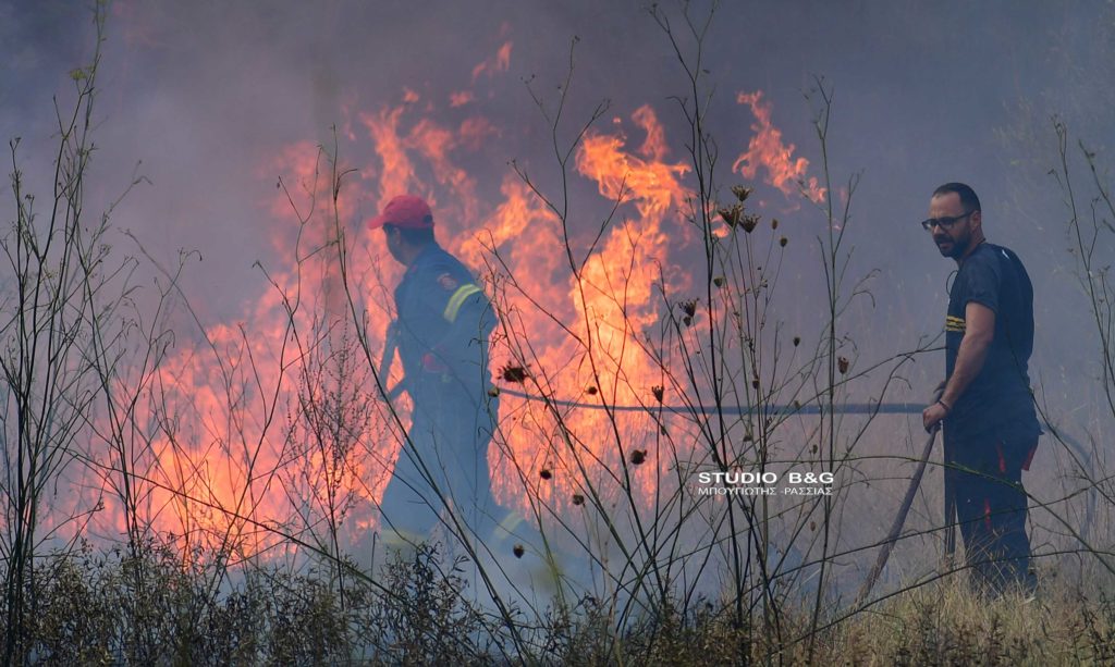 Ναύπλιο: Μάχη με τις φλόγες σε σπίτια – 62 δασικές πυρκαγιές το τελευταίο 24άωρο