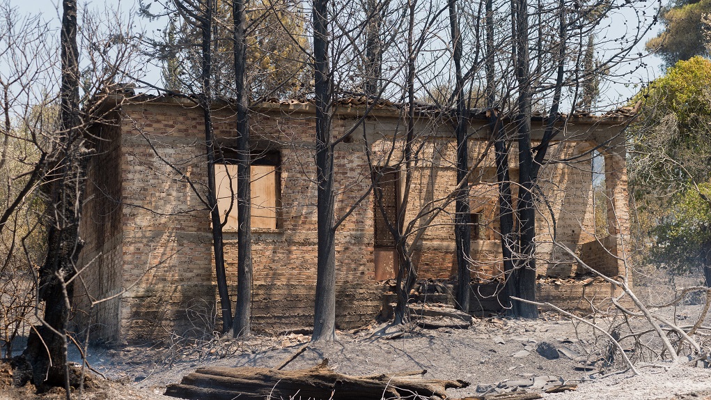 Πυρκαγιές: Μάχη με τις αναζωπυρώσεις – Ανακοινώθηκαν 13 μέτρα στήριξης των πυρόπληκτων