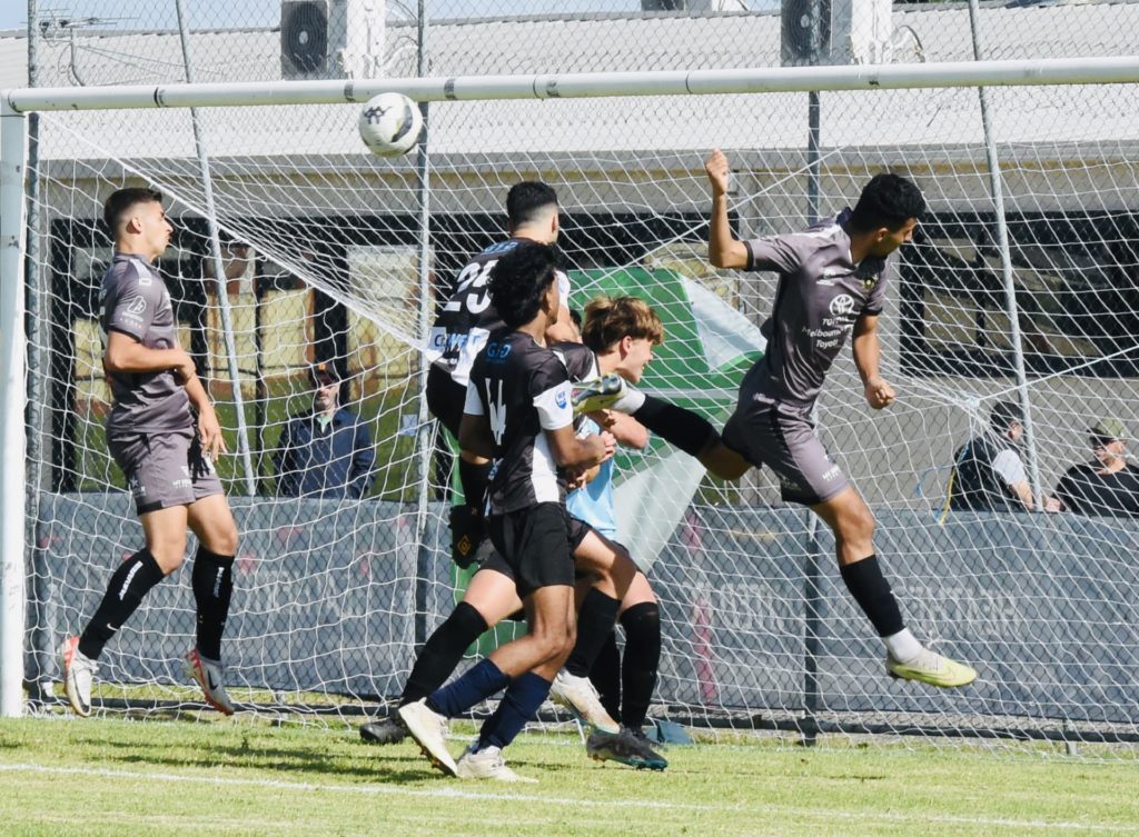 The Stage Is set for the Finals of the 2024 Greek Community Cup