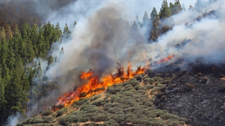 Αυξημένη επικινδυνότητα για δασικές πυρκαγιές από σήμερα