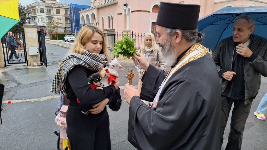 Λεμεσός: Ευλογία κατοικίδιων ζώων ανήμερα της εορτής του προστάτη τους Αγίου Μοδέστου