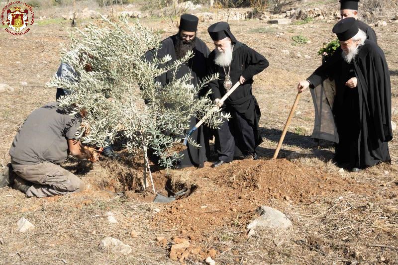 Το πρώτο ελαιόδεντρο φύτεψε στο κτήμα της Μονής Τιμίου Σταυρού ο Πατριάρχης Ιεροσολύμων